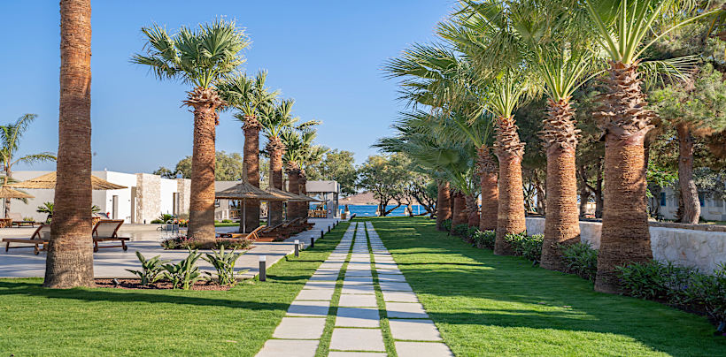 Regia Mare Beach Hotel & Spa  Bodrum Genel 1